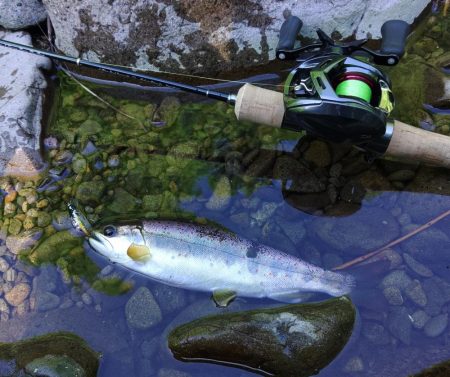 もののふ４５Ｓでアマゴ爆釣！